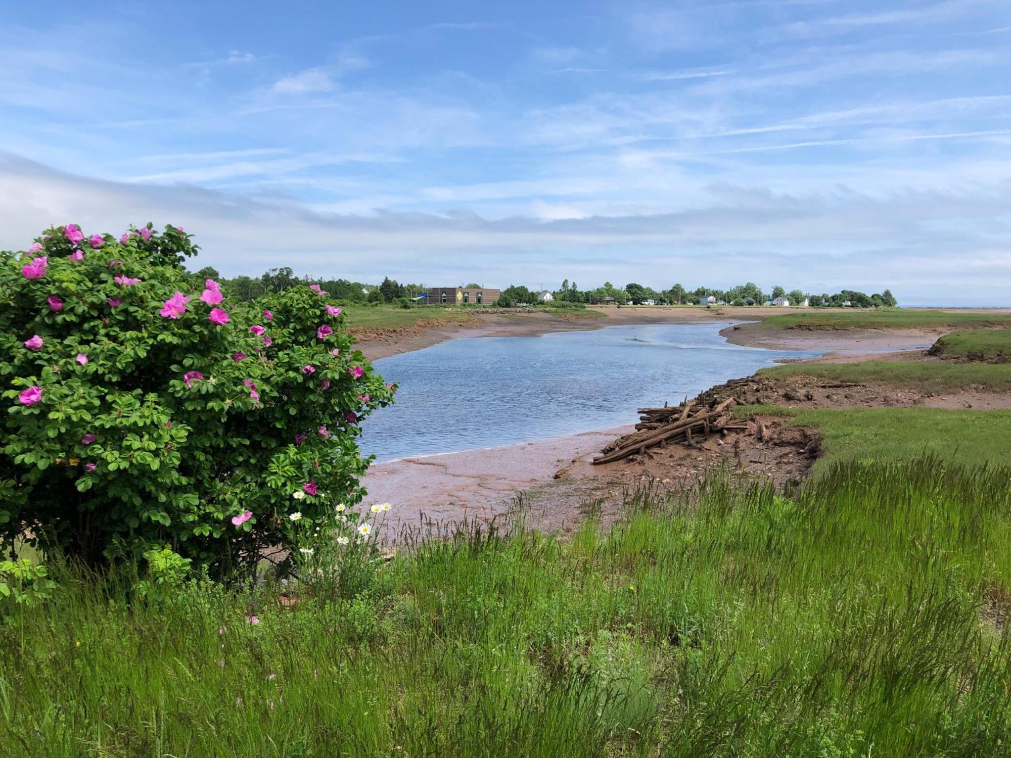 Pleasant Street Inn Parrsboro Esterno foto