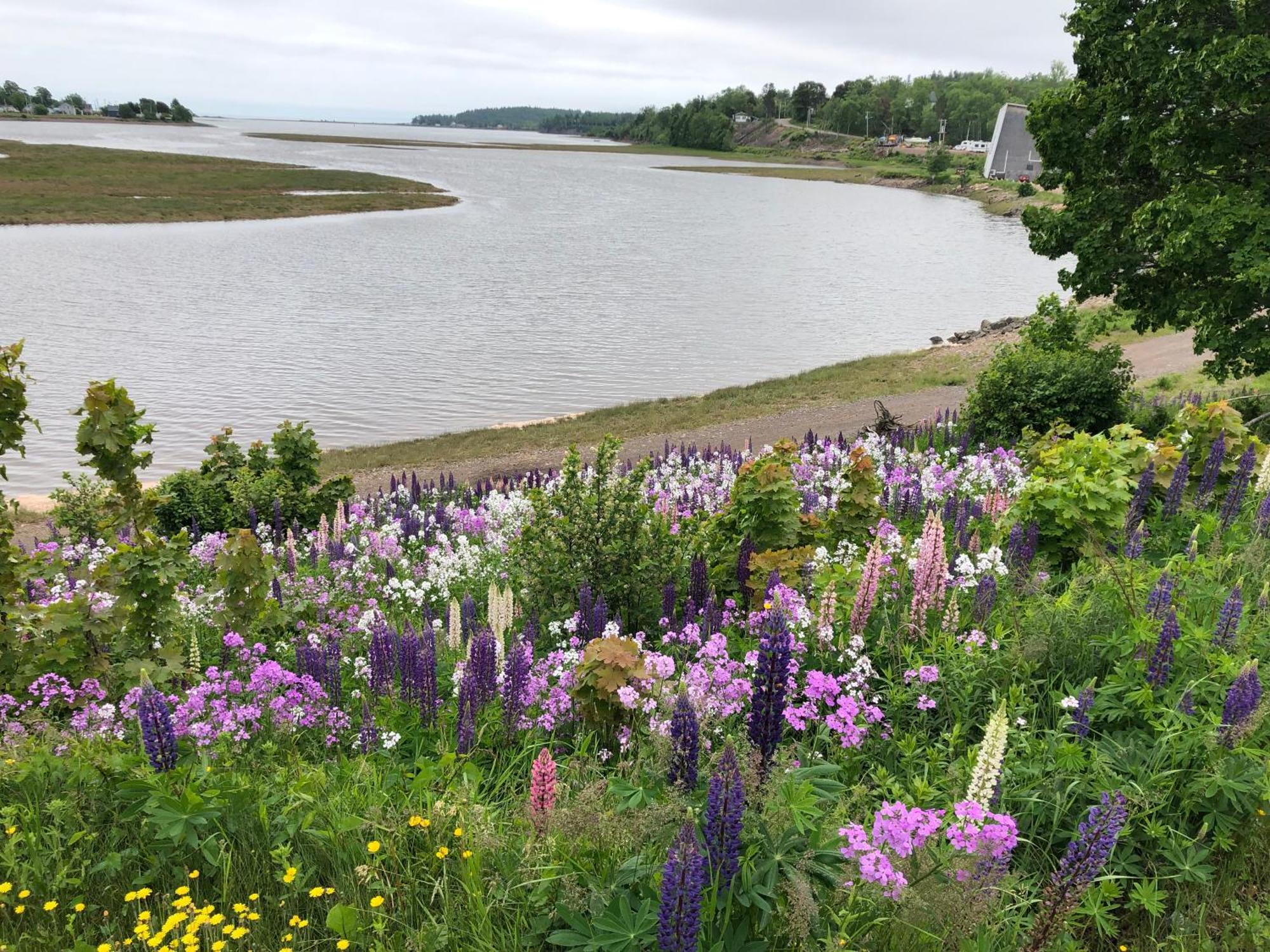 Pleasant Street Inn Parrsboro Esterno foto